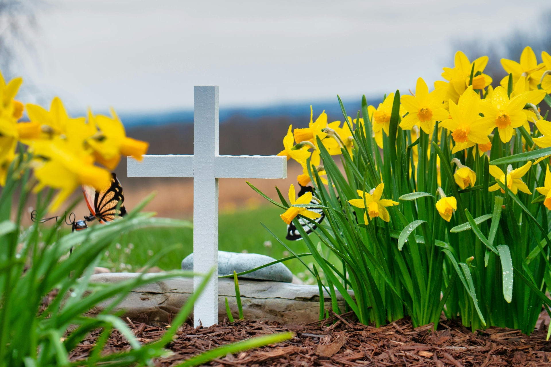 La Sepoltura come Parte del Rito Funerario